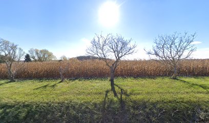 McAdoo Cemetery