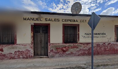 Manuel Sales Cepeda