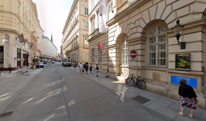 Massage und Heilmassage Wien