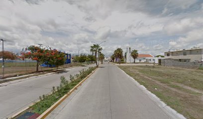 universidad autonoma de sinaloa