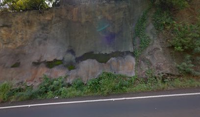 Wailua River Trail