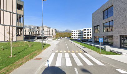 Karate akademija Bled, Radovljica, Bohinj