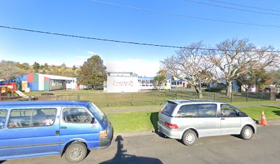 Mangapapa School