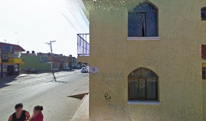 CapitalPets Zacatecas