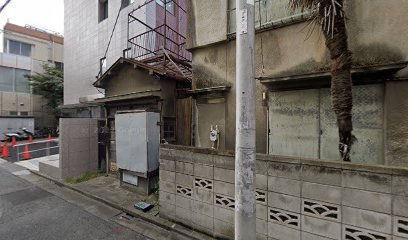 医療法人社団 東京ハートサミット 東京心臓不整脈病院