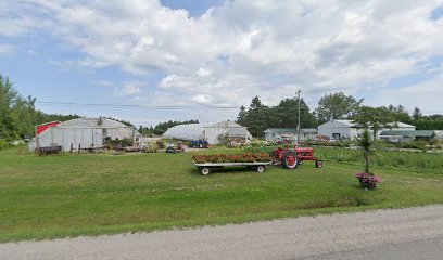 Mackinaw Plant Center