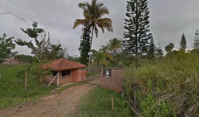 Sector la Martinica Ibagué