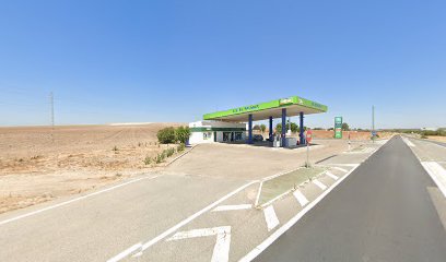 gasolinera Gasolinera Gs El Palmar