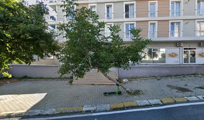 Av. Yonca Balekoğlu Özyurt