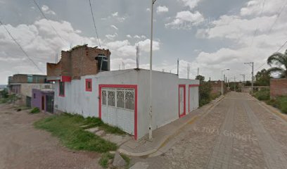 Colegio Panamericano De Taekwondo Guanajuato A.C.