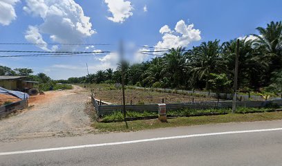 Bukit Siput Resources SB - Pontian