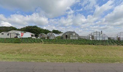 Pleasant View Greenhouse