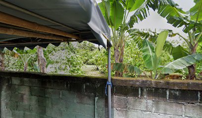 Kebun Ambatukam