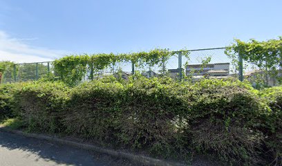 井原公園テニス場
