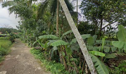 Puncak asih sukasenang