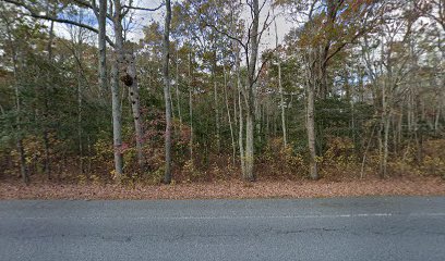 Cape Island Wildlife Management Area