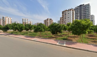 Mezitli Belediyesi İlk ve Orta Okulu Koruluğu