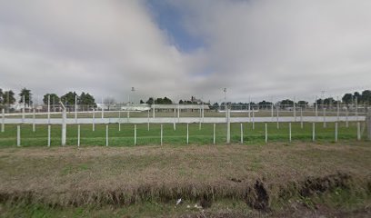 Estadio del club Argentino