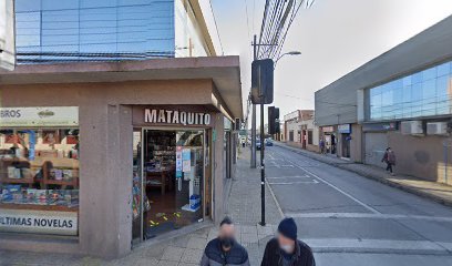 Biblioteca Municipal, Tomas Guevara Silva