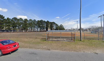 Hillsdale Baseball Field