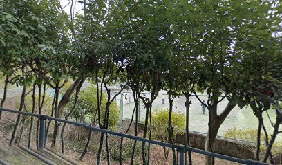 不動川公園テニスコート