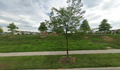 Snow Farm Elementary Soccer Field