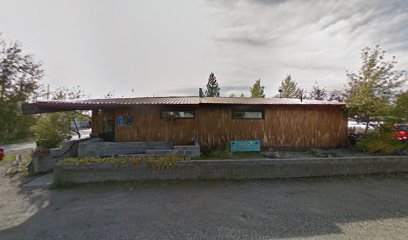 Nenana City Public Library