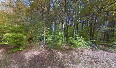 Stone Bridge Wildlife Management Area