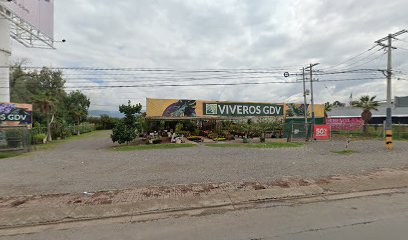 Viveros Gdv Landscape Company Outlet