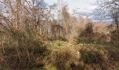 The Underground Railroad Experience Trail Stream