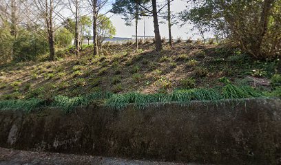 土佐市立戸波小学校