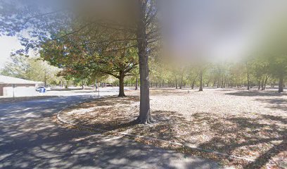 Memorial frisbee park