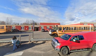 Peacock Primary School