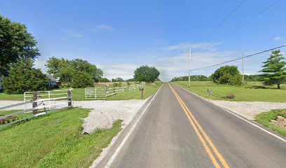 The Rockin Rc Ranch, Home of Mustang Redemptions