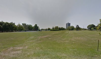 Oakridge park baseball field