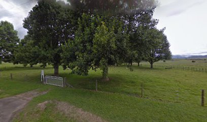 Waimana Cemetery