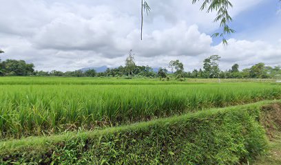 Curug Katineung