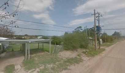 Guardería Y Paseos De Perros Maldonado-Punta Del Este