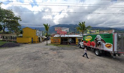 Multirepuestos y Mantenimiento de Vehiculos S.A.S