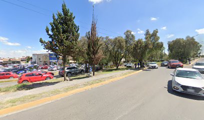 Cam Centro de Ayuda para la Mújer Latinoaméricana, A.C.