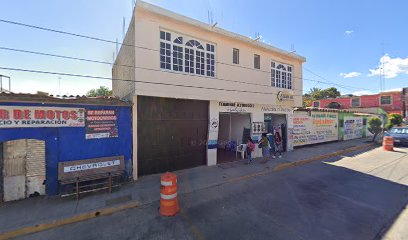 Autobuses Halcón Terminal Zimatlan