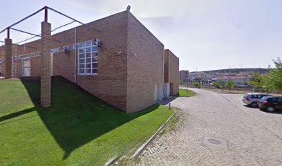Mentoring Academy - Instituto Politécnico de Bragança