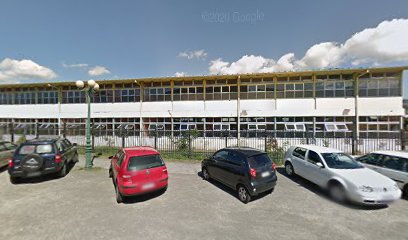 Liceo B-37/Liceos