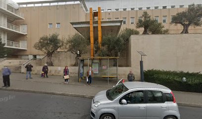 Loja Benfica