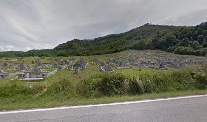 New Chinese Cemetery. 义山