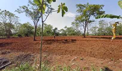 Taman Kanak Kanak Desa Ngadipiro