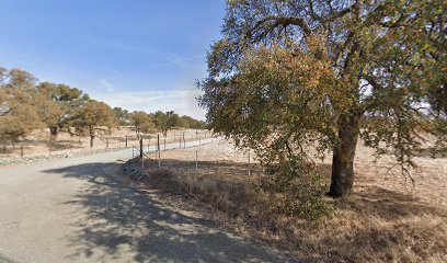 Oakwilde Ranch & Sculpture