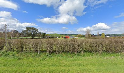 Pounamu Orchard