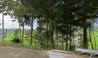 Kebun Bunga