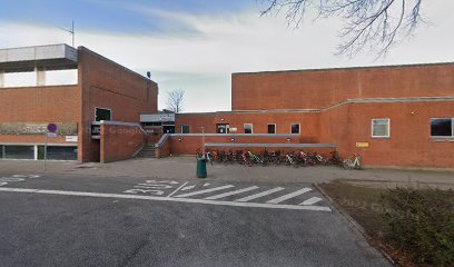 Højvangskolen